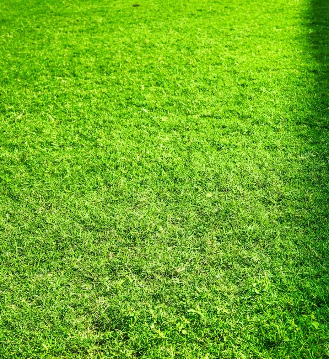 After, lawn freshly cut and edged