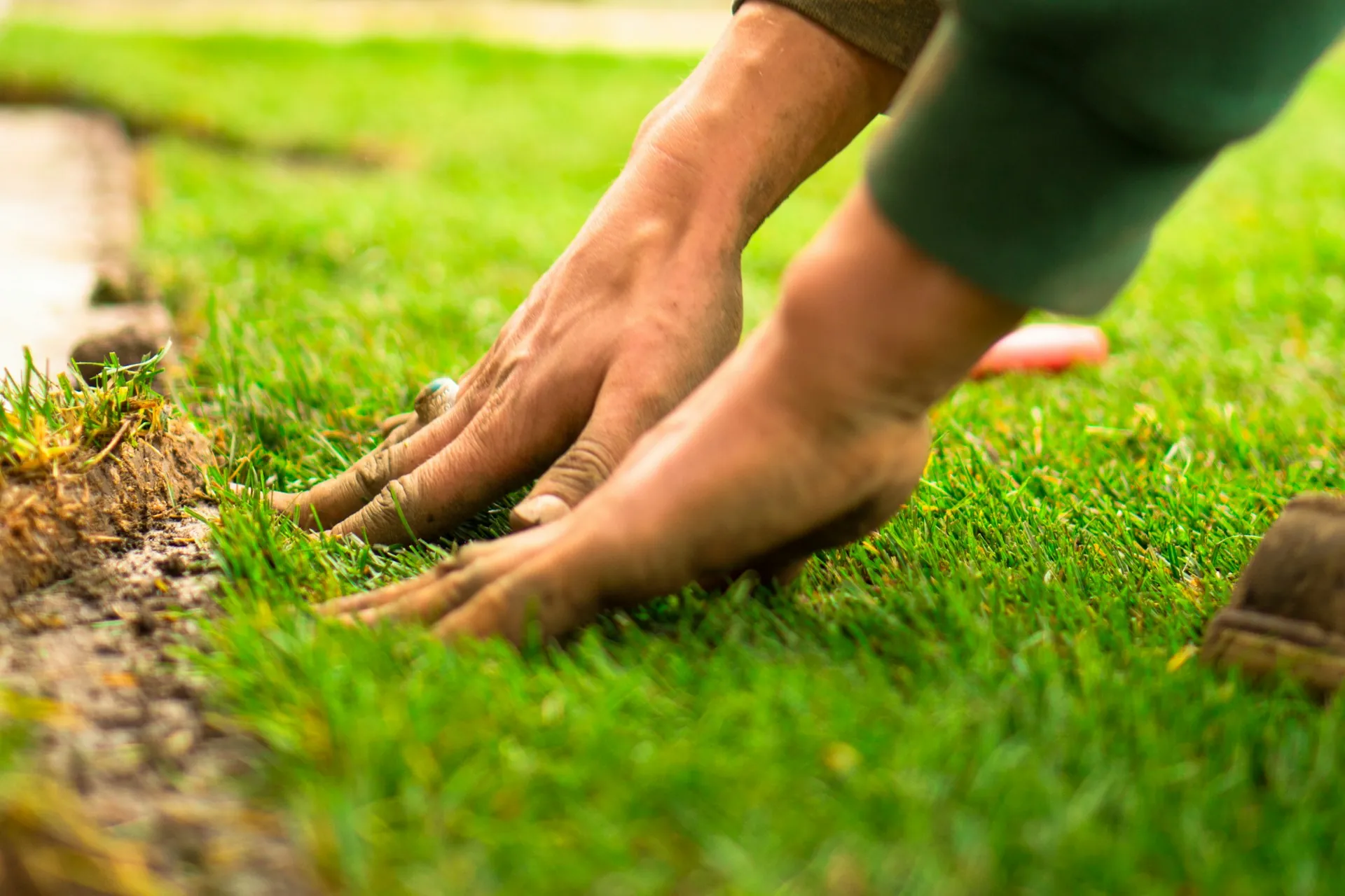 A landscape crew laying fresh sod on a job site — installation work being executed in the field.